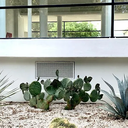 Elegant Et Parking Dans Batiment Historique شقة سان تروبيه